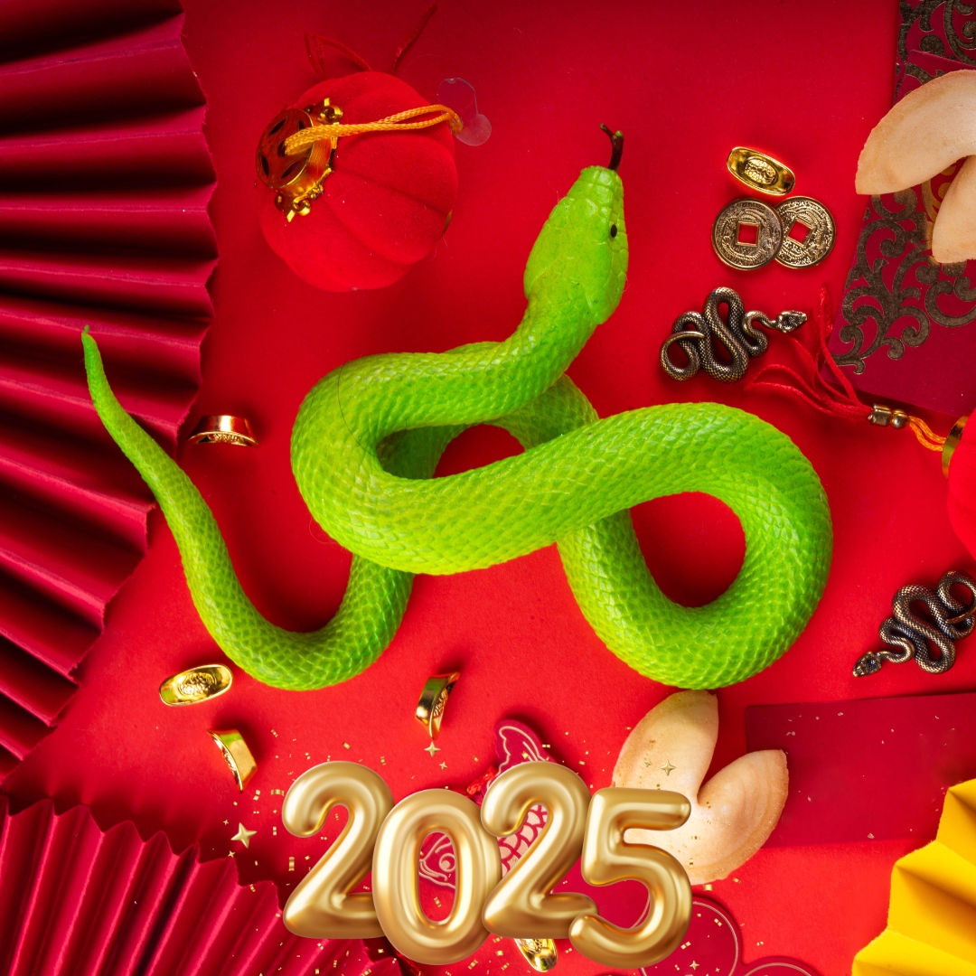 Chinese New Year 2025 The Year of the Wood Snake Phone Psychics Psychics On Year 2025 Calendar