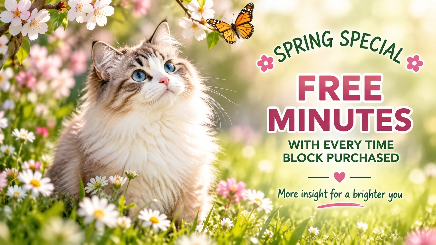 Spring Specials